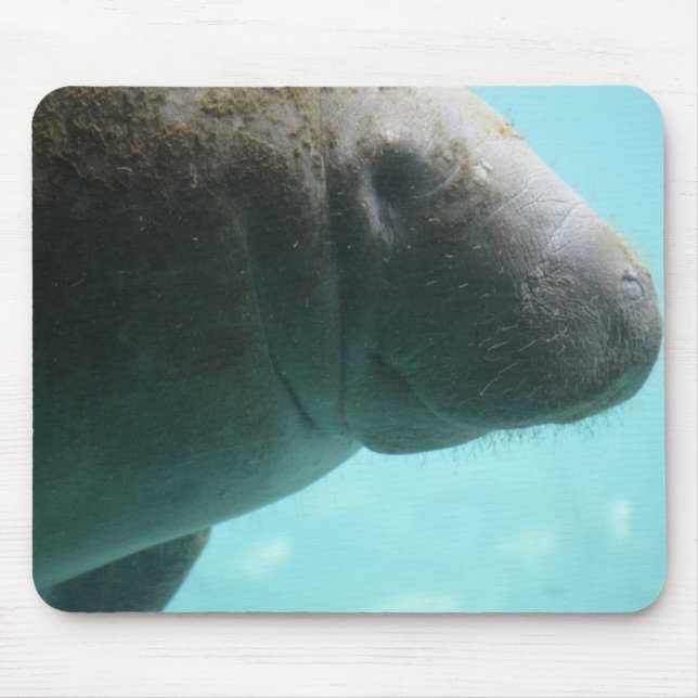 Tapis De Souris Natation adorable de lamantin (Devant)