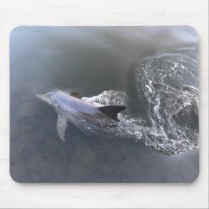 Tapis De Souris Natation des dauphins