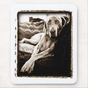 Tapis De Souris Nation de Weimaraner : La "chaise de Ballou "