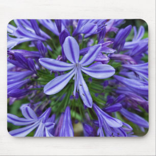 Tapis De Souris Natural Beauty: Vibrant Purple Flowers in the SAPA