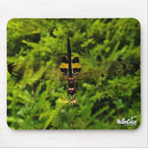 NaturCraze Mousepad, libellule noire et jaune