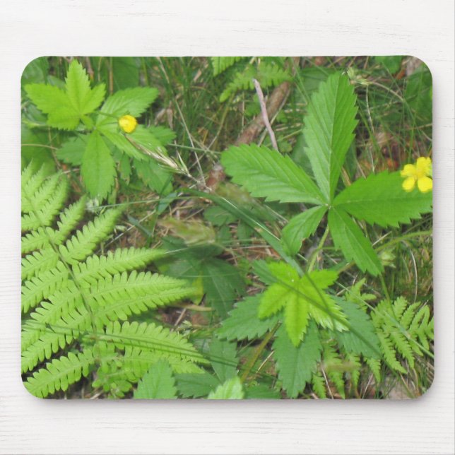 Tapis De Souris Nature (Devant)