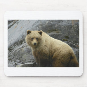Tapis De Souris Nature de destin d'animaux de l'Alaska d'ours