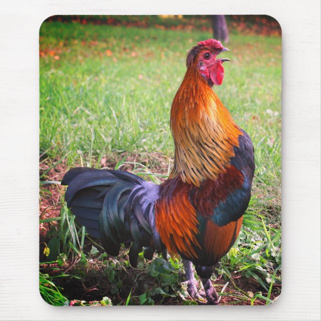 Tapis De Souris Nature du Coq Croisant (Devant)