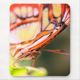 Tapis De Souris Nature du visage papillon