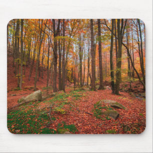 Tapis De Souris nature, forêt, arbres