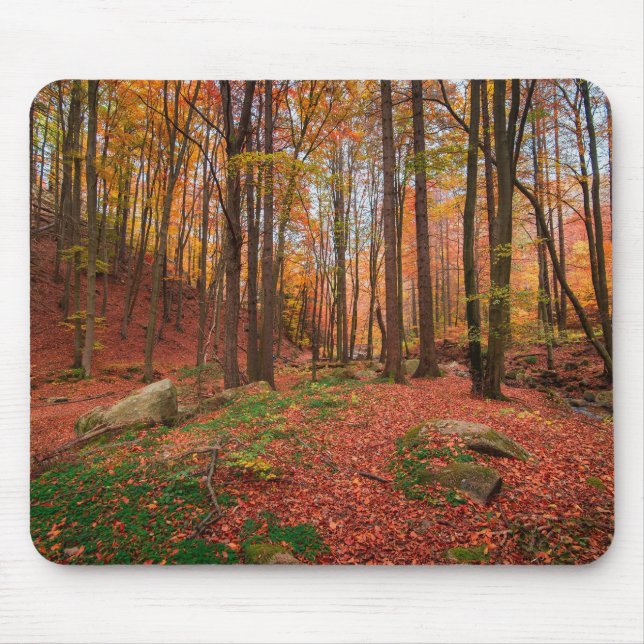 Tapis De Souris nature, forêt, arbres (Devant)