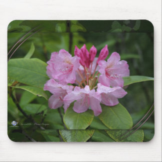 TAPIS DE SOURIS NATURE ORÉGON