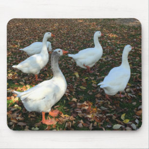 Tapis De Souris Nature pure