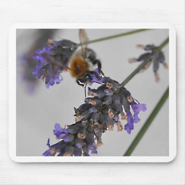 Tapis De Souris Natures de merveilleux travailleurs (Devant)