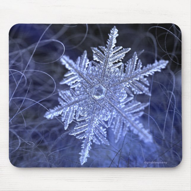 Tapis De Souris Né l'hiver (2015) (Devant)