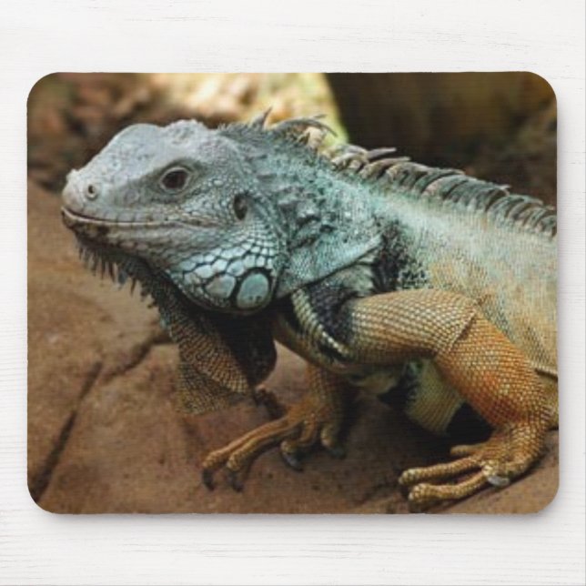 Tapis De Souris Ne soyez pas bleu (Devant)