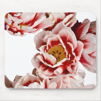 Tapis De Souris Néerlandais-Maîtres