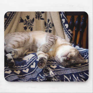 Tapis De Souris Neige Bengale sur le balancier
