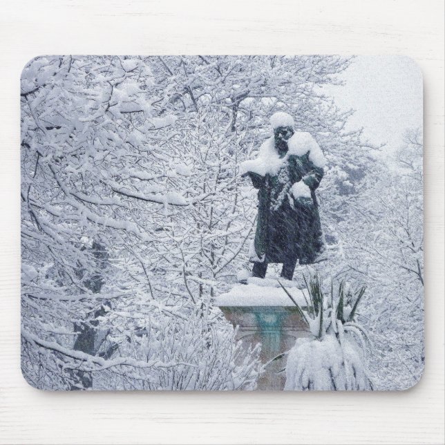 Tapis De Souris Neige dans le parc (Devant)