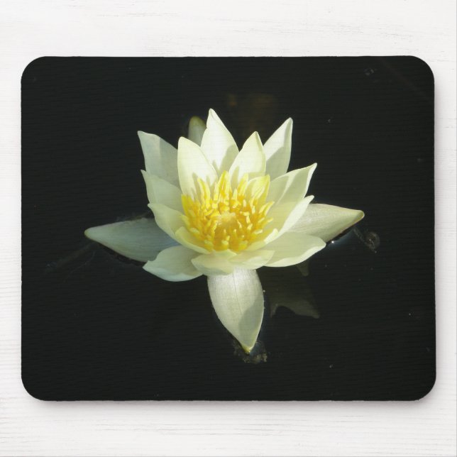 Tapis De Souris Nénuphar blanc/Lotus (Devant)