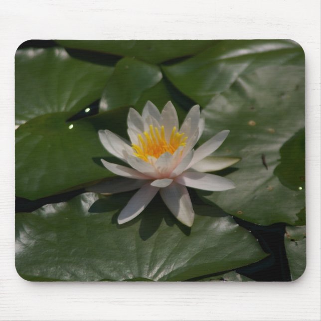 Tapis De Souris Nénuphar blanc Mousepad (Devant)