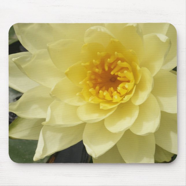 Tapis De Souris Nénuphar jaune Mousepad (Devant)