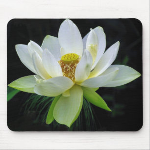 Tapis De Souris Nénuphar Mousepad