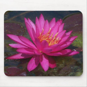 Tapis De Souris Nénuphar rose
