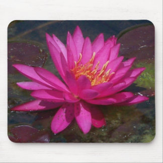 Tapis De Souris Nénuphar rose