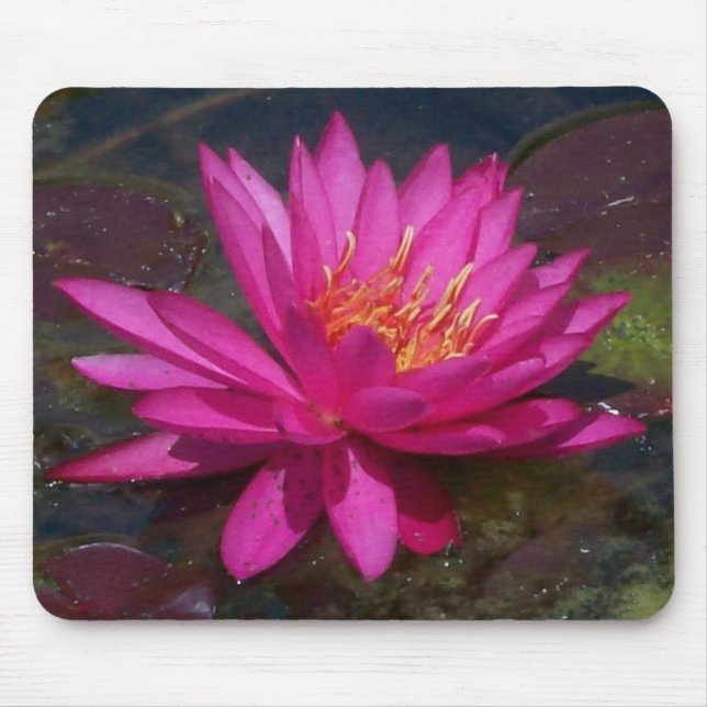 Tapis De Souris Nénuphar rose (Devant)