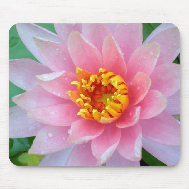 Tapis De Souris Nénuphar rose Mousepad (Devant)