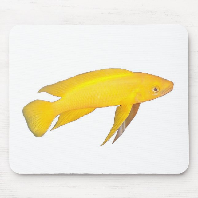 Tapis De Souris Neolamprologus leleupi (Devant)