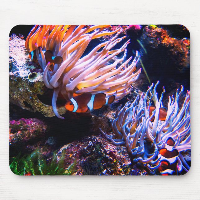 Tapis De Souris Neon Colours Poissons Clown (Devant)