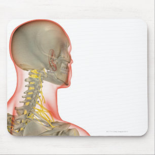 Tapis De Souris Nerfs du cou 2