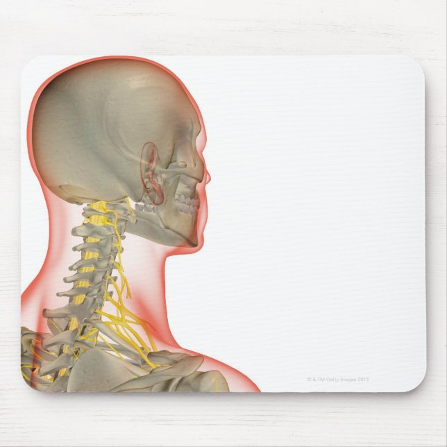 Tapis De Souris Nerfs du cou 2 (Devant)