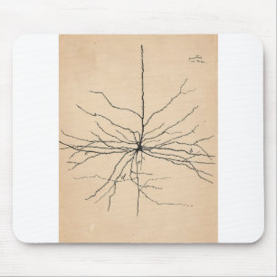 Tapis De Souris Neuron Pyramida Dessin Santiago Ramon y Cajal