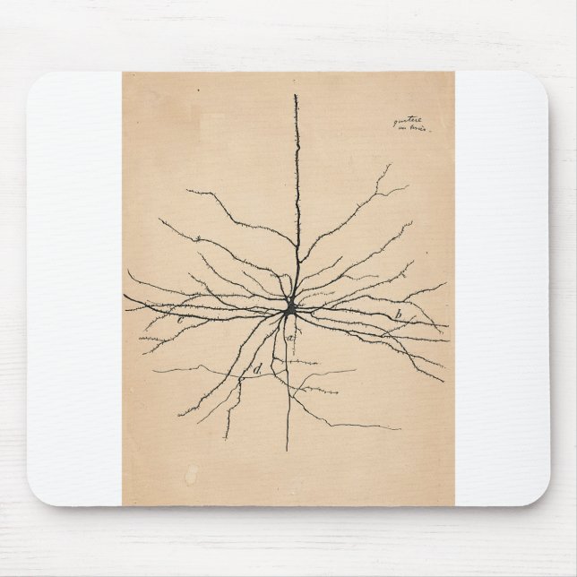 Tapis De Souris Neuron Pyramida Dessin Santiago Ramon y Cajal (Devant)