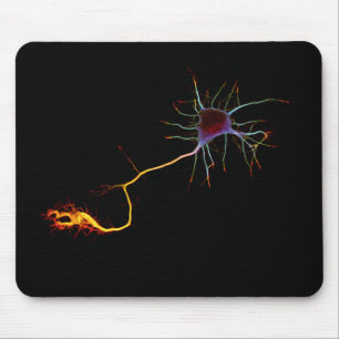 Tapis De Souris Neuroscience, neuron, science