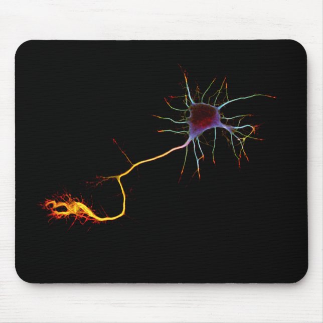 Tapis De Souris Neuroscience, neuron, science (Devant)