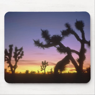 Tapis De Souris NEVADA. ÉTATS-UNIS. Yucca brevifolia)