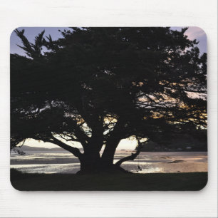 Tapis De Souris New Zealand - Coromandel Peninsula Sunset