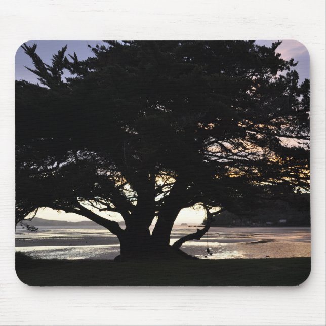 Tapis De Souris New Zealand - Coromandel Peninsula Sunset (Devant)