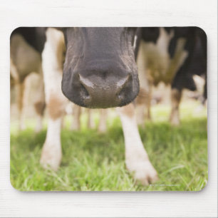 Tapis De Souris Nez de vache