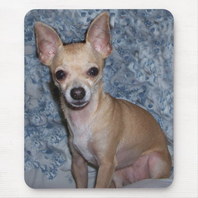 Tapis De Souris nibblesportrait (Devant)