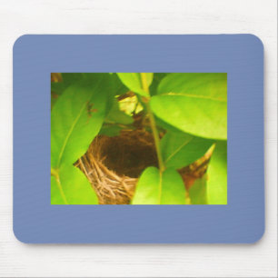 Tapis De Souris Nid de colibri bleu enveloppé