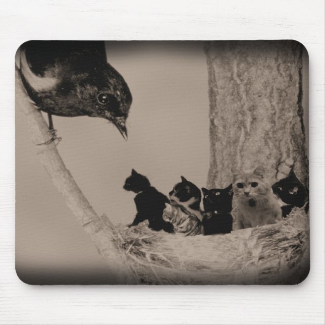 Tapis De Souris Nid des chats (Devant)