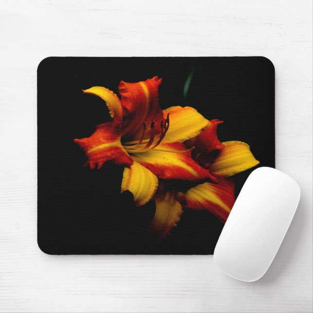 Tapis De Souris Night Lily... Carte de souris (Avec souris)