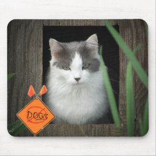 Tapis De Souris No Dogs Zone Kitty