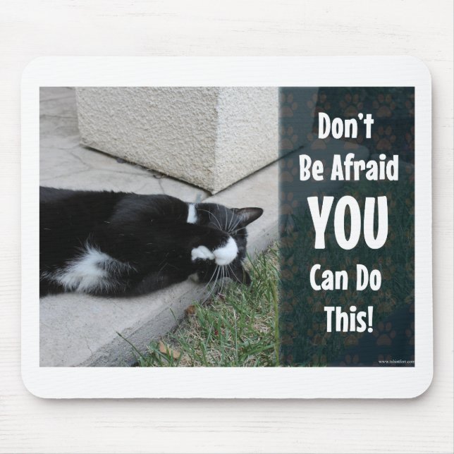 Tapis De Souris No Fear Kitty Epic Motivational Slogational Photo (Devant)