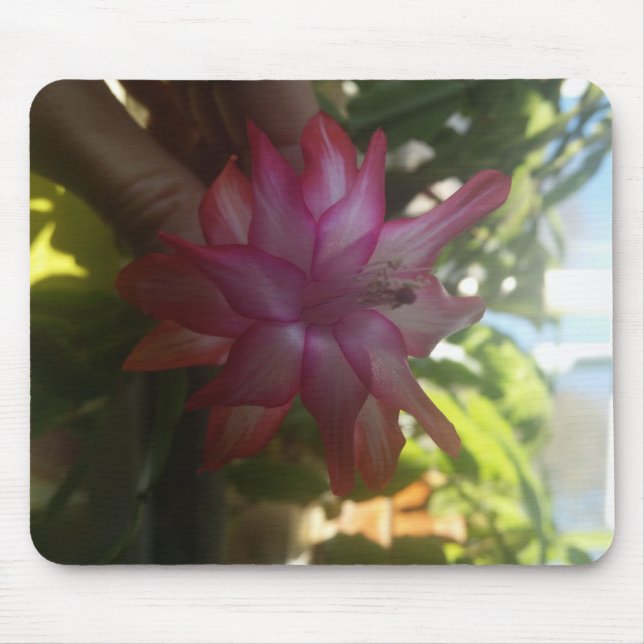 Tapis De Souris noël cactus mousepad (Devant)