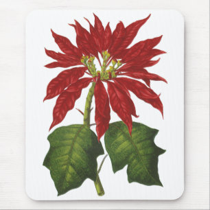 Tapis De Souris Noël vintage, plante hivernale de poinsettia rouge