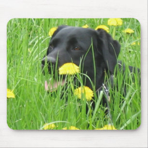 TAPIS DE SOURIS NOIR DE LABRADOR RETRIEVER DE CHIEN
