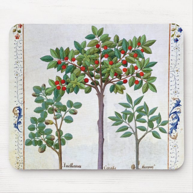 Tapis De Souris Noisette Bush et cerisier (Devant)