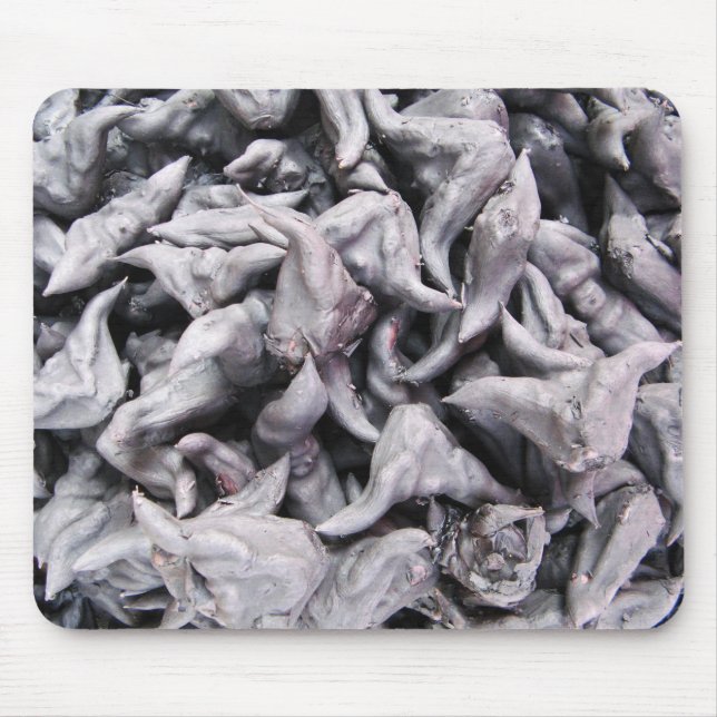 Tapis De Souris Noix de buffle - Water Caltrop (Devant)